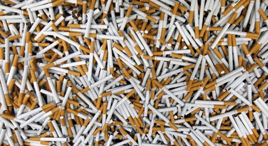 Таможенники изъяли 169 600 контрабандных сигарет, спрятанных в брикетах и гранулах