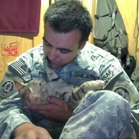 Американца наградили за любовь к афганскому коту