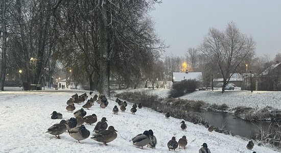 ФОТО: Латгалию покрыл белый слой снега