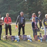 ФОТО: В Риге прошел ФлешМопс - соревнования для собак и их хозяев