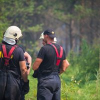 Jau vairāk kā 110 stundas ugunsdzēsēji cīnās ar meža un kūdras ugunsgrēku Valdgales pagastā