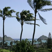 Цунами не причинило Гавайским островам особого вреда
