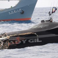 Японские китобои протаранили тримаран "зеленых"