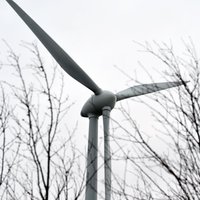 Vēja ātrums Rīgā sasniedzis 22 metrus sekundē