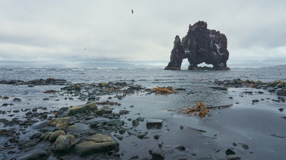 Hvítserkur Islande