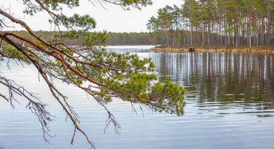 Ziemeļvidzemes apslēptā pērle, kur izlocīt kājas – Purezera taka