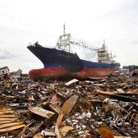 США затопят дрейфующий из Японии корабль-призрак