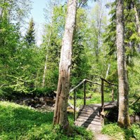 Atpūta dabā: pastaigu maršruti gar Latvijas upēm