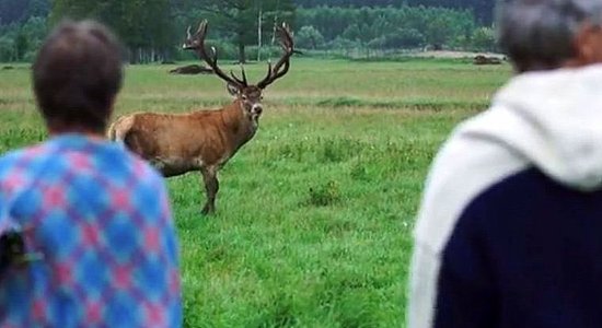 Raidījums 'TE!' - par Ezera sapņu ķērājiem, Rīgas jaunajiem dizaineriem un rudens ziedu karalienēm