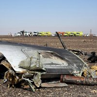 СМИ: первые неофициальные результаты судмедэкспертизы тел пассажиров A321