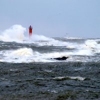 Буря в Латвии: в Курземе и Видземе ветер усилился до 29 м/сек
