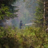 VMD: Ugunsgrēks Valdgales pagastā platības ziņā nepārspēj Latvijā vēsturiski lielākās ugunsnelaimes