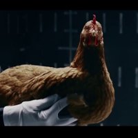 Video: ar vistām demonstrē 'Mercedes-Benz' gaitas komfortu