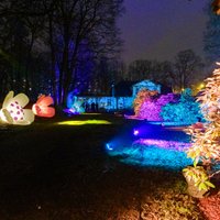 Foto: Botāniskajā dārzā iemirdzas gaismas festivāls "Ziemas nedarbi. Ziedu stāsti"