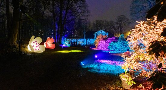 Foto: Botāniskajā dārzā iemirdzas gaismas festivāls "Ziemas nedarbi. Ziedu stāsti"