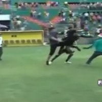 ВИДЕО: футболист продемонстрировал прием каратэ против выбежавшего на поле фаната