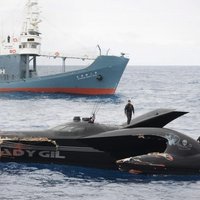 Japānas vaļu medniekus apsūdz uzbrukumā ekologiem