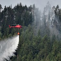 Foto: Zviedrijā mežu ugunsgrēki vairs nepaplašinās