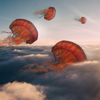 Foto: Vienradži un lidojošas medūzas - pasaku pasaule Teda Čina darbos