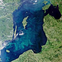 Ученый предлагает засыпать захоронение химоружия на дне Балтики глиной