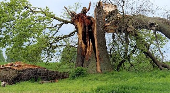 Накануне шторма в Sadales tīkls призвали жителей к бдительности