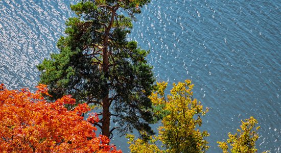 Красота через объектив: Лучшие места в Латвии для того, чтобы сфотографировать золотую осень