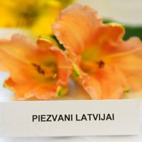 Foto: 'Piezvani Latvijai' un citas skaistas viendienītes Dabas muzejā