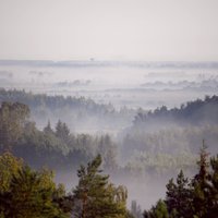 Завтра утром во многих регионах Латвии будет густой туман