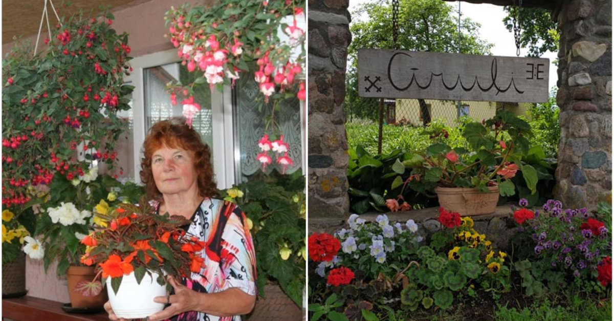 Man patīk dulli augi! Ligita Dubova par savu artavu kolekcijas dārzā ...