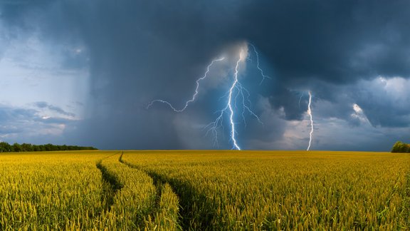 zibens pērkons negaiss lauks lauksaimniecība stihija