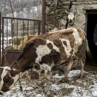 Ungāriem piedāvā iespēju atjaunot Azerbaidžānas kontrolēto Kalnu Karabahas daļu