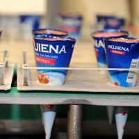 'Rūjienas saldējums' jaunās ražošanas līnijās plāno investēt 300 tūkstošus eiro