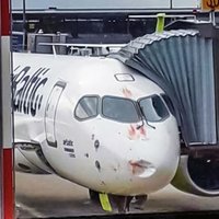 Aculiecinieka foto: 'airBaltic' lidmašīna saskrienas ar putniem