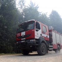 В Цесисе возник лесной пожар в Гауйском Национальном парке