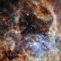 Телескоп Hubble увидел девять гигантских звезд, в 100 раз превосходящих массу Солнца
