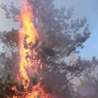 Video: Glābēji un iedzīvotāji cīnās ar kūlas ugunsgrēku