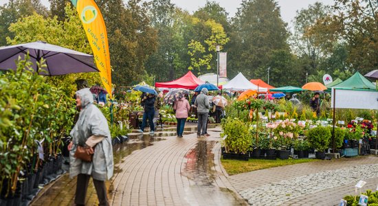 Foto: Augu 'medības' un košumi grandiozajā Latvijas Stādu parādē