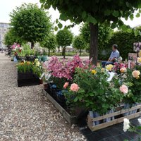 17 июля во французском саду Рундальского дворца пройдет большая летняя ярмарка