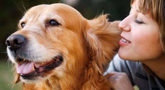 Jaunā pētījumā rod interesantas atklāsmes par suņu spēju saprast vārdu nozīmi
