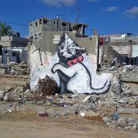 ФОТО, ВИДЕО: Бэнкси нарисовал котика в секторе Газа
