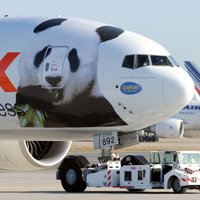 Китайские панды Толстяк и Весельчак прибыли в Париж