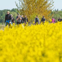 Galvenais, lai labi apavi! Kā Lauris Zalāns tika galā ar 32 km pārgājienu?