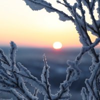 Фенолог прогнозирует первые заморозки и снег