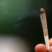 Нарколог: любители марихуаны попадают в "психушки"