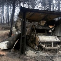 Ienākumus no Portugāles Superkausa fināla ziedos traģiskajā meža ugunsgrēkā cietušajiem