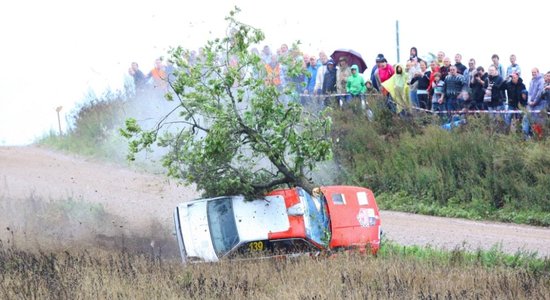 Rallija 'Kurzeme' 50 gadu jubilejā Vecpilī stādīs 50 ķiršus