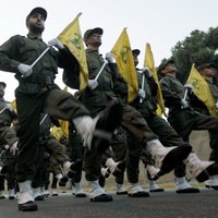 Движение "Хизбаллах" объявило войну "Исламскому государству"