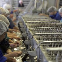 Казахстан тоже запретил ввоз рыбной продукции из Латвии и Эстонии