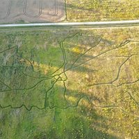 Lielvārdē pļavā izveidota Latvijas karte, kuru var izstaigāt