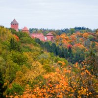 Ko zelta rudenī apskatīt Siguldā? Idejas atpūtai un pārgājienam